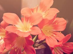 Quality Instant Pot #2264 - image 3