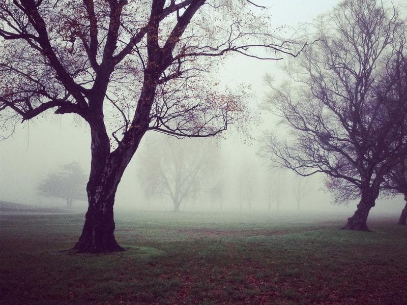 Standing Desk — Electric Adjustable 60x30 #239