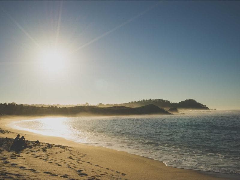 Standing Desk — Electric Adjustable 60x30 #242