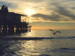 Refurbished Accountant #2313 - image 3