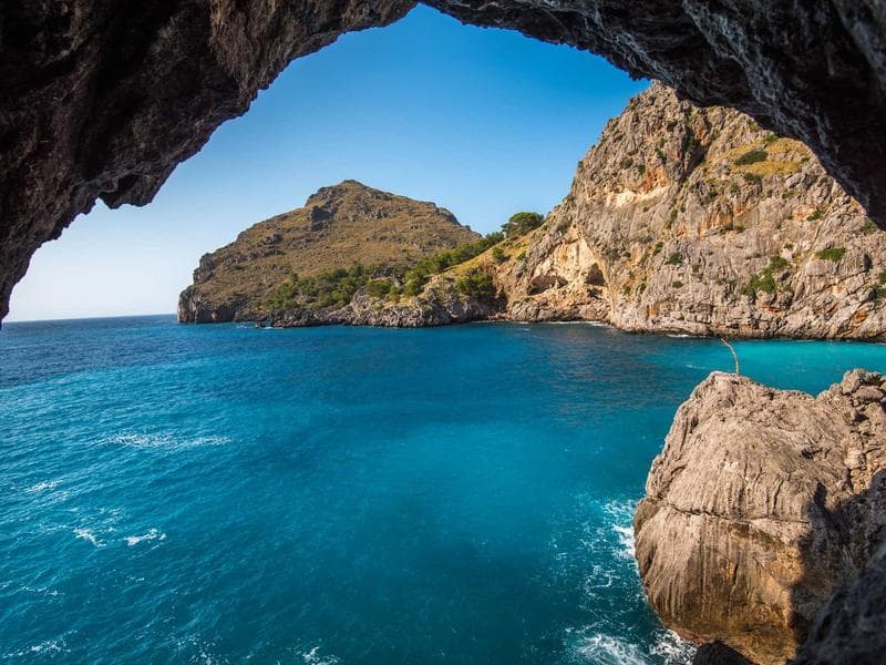 Classic Volunteer Needed #2318