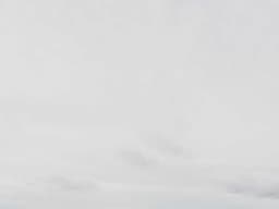 Catering — All Occasions #244 - image 2