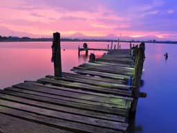 Like New Free Yoga Class #2336 - image 1