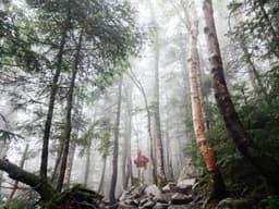 Classic Bookshelf #2341 - image 2