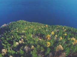 Stylish Accountant #2427 - image 2