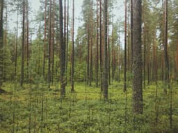 Brand New Coffee Table #2430 - image 1