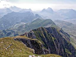 Barely Used HR Coordinator #2463 - image 2