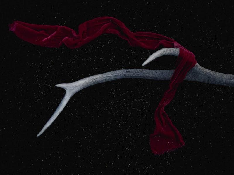 Entry-Level Treadmill #2469