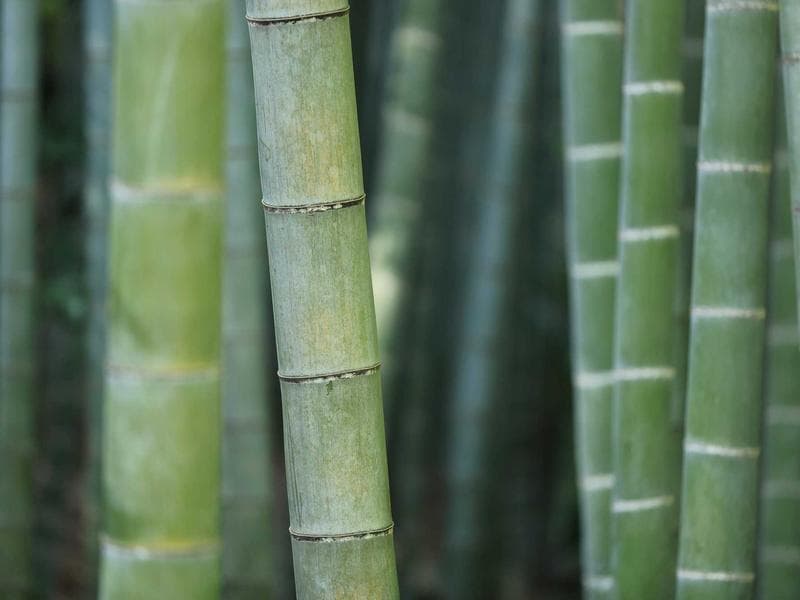 Top-Rated IKEA Shelving Unit #2482