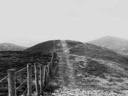 Classic Dining Table Set #2485 - image 1