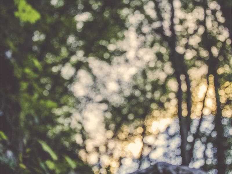 Sales Executive — Commission Based #27