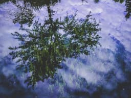 Sales Executive — Commission Based #27 - image 3