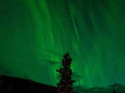 Stylish Gold Necklace #2576 - image 2