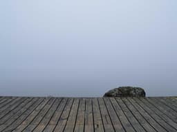 Like New Web Development #2580 - image 3