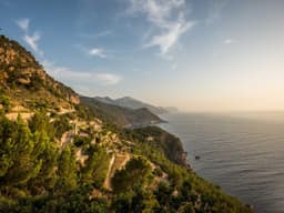 Barely Used Community Garden #2605 - image 1