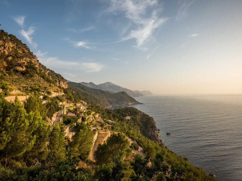 Barely Used Community Garden #2605