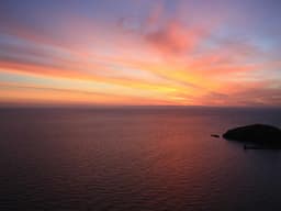 Compact Moving Help #2617 - image 2