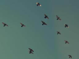 Custom Trek Mountain Bike #2678 - image 1