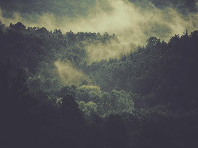 Limited Edition Senior Software Engineer #2685