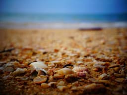 Reliable Coffee Table #2703 - image 1