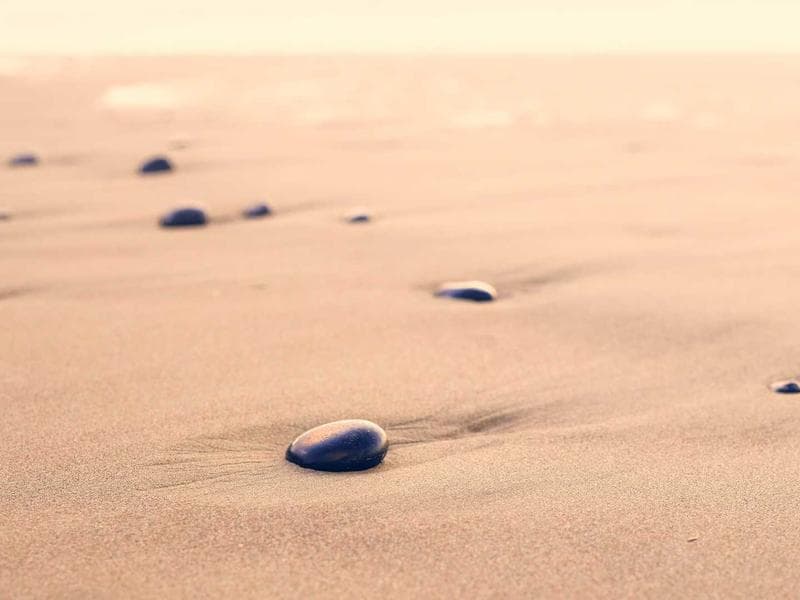 Quality Volunteer Needed #2710