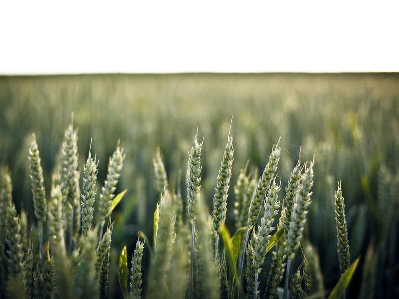 Brand New AC Repair #2718