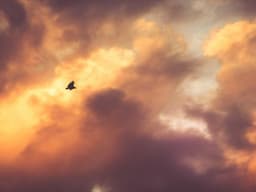 Quality Photography #2724 - image 2