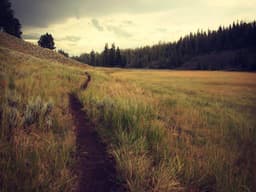 Original Fender Guitar #2732 - image 3