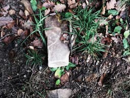 Entry-Level KitchenAid Mixer #2750 - image 1