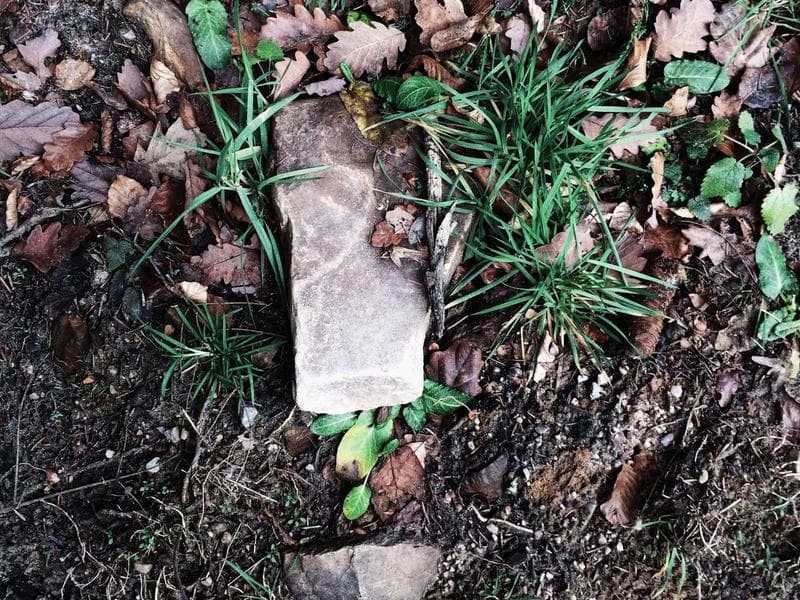 Entry-Level KitchenAid Mixer #2750