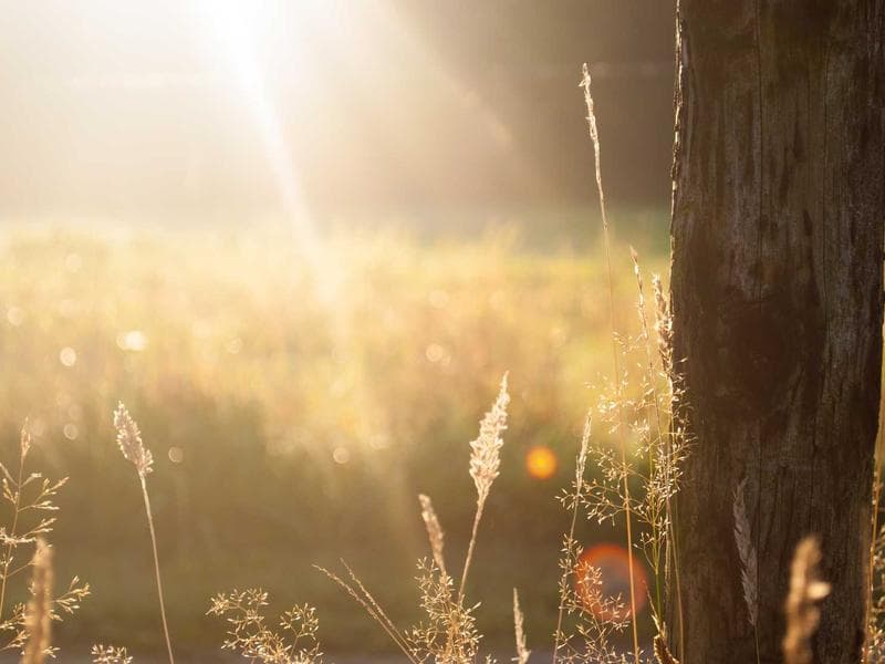 Garage Sale — This Weekend #287