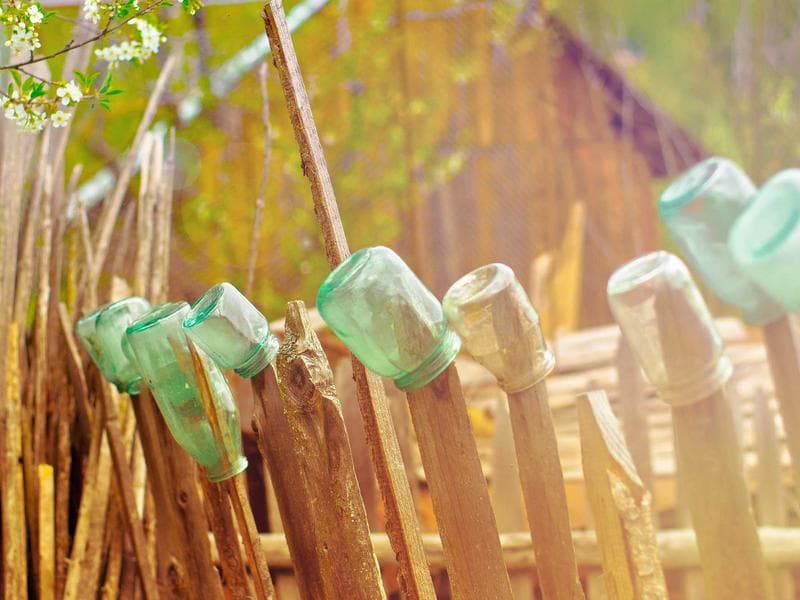 Compact Teacher #2756