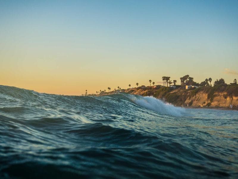 Co-working Desk — Monthly #291