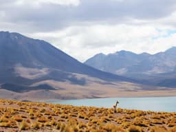 Modern Product Manager #2804 - image 1