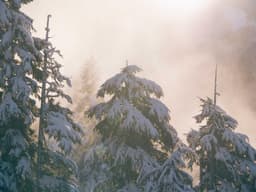 MacBook Pro M3 14-inch — Like New #295 - image 3