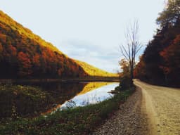Spacious Bookshelf #2855 - image 2