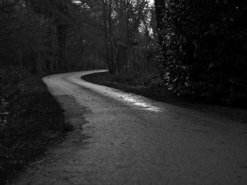 Portable Community Garden #2884