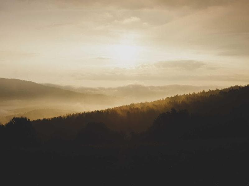 Elegant Interior Design #2899