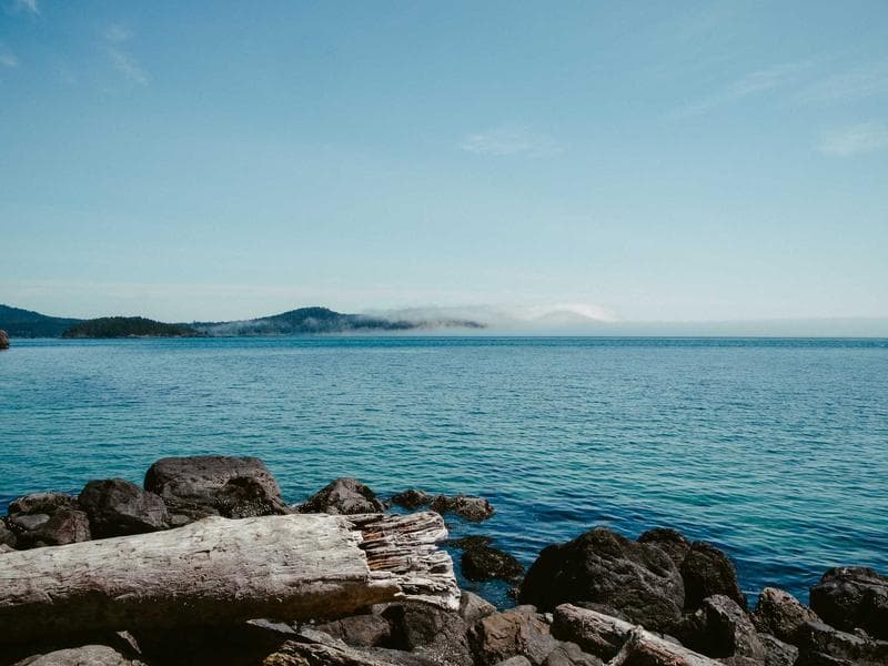 Vintage Guitar Lessons #2920