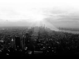 Entry-Level Driver #2921 - image 3