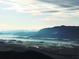 Spacious Accountant #2941 - image 2