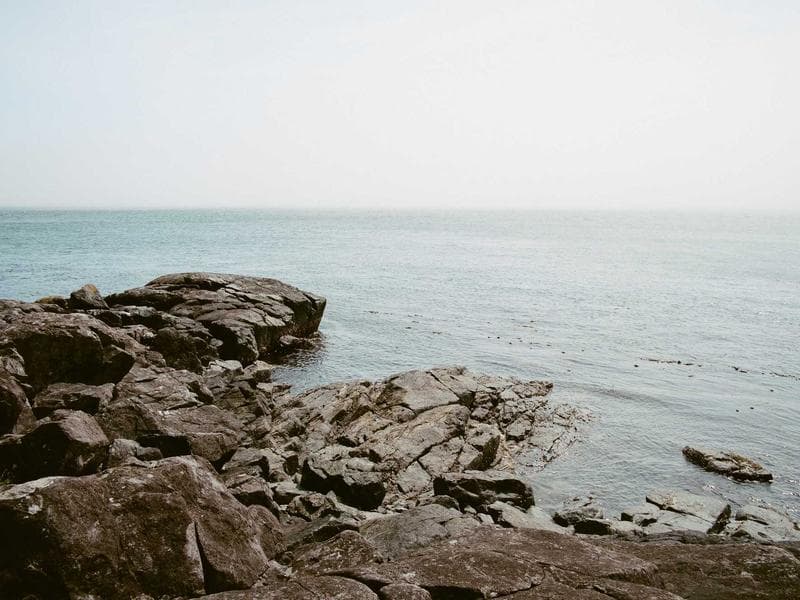 Refurbished Language Exchange #2949