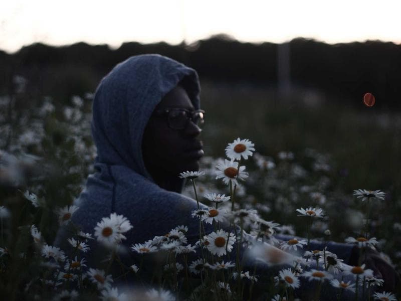 Mid-Range Antique Bookshelf #2956