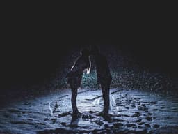 Luxury Accountant #2966 - image 2