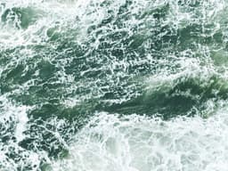 Brand New Robot Vacuum #2972 - image 2