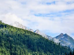 Top-Rated Camping Tent #2976 - image 2