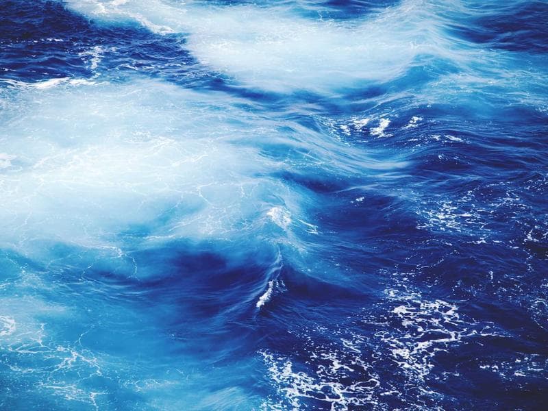 Elegant Curtains Set #2981