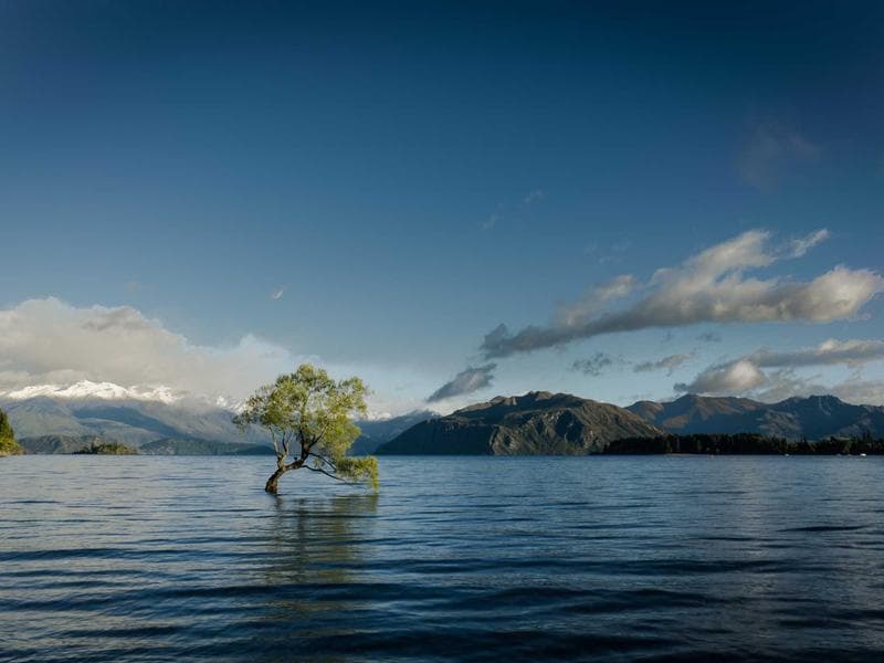 Entry-Level IKEA Shelving Unit #3017