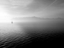 Best-Selling Photography #3025 - image 3