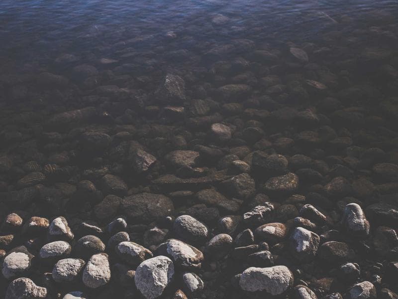 1BHK Furnished — Near Metro #316